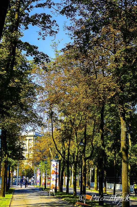 Fotomarathon 2014